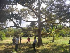 出产力｜用人工智能描画聪慧农业的“诗和远方