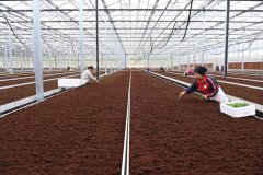 新时代中国调研行之看区域·西部篇丨这里的地盘