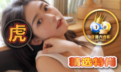 广东八二坐澳门材料V