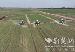 <b>湖北老河口：做强种业“芯片” 赋能但愿郊野</b>