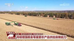 <b>推进村落全面复兴 本年地方一号文件有何新亮点</b>