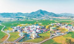 “四个下层实践”里的省委一号文件