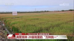 “定制养分”促丰收、一块屏幕“管”万亩田…