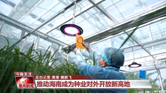 <b>黑紫色玉米、棕色秋葵……你见过的、没见过的</b>