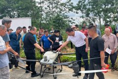 广西贵港：AI赋能农业 科技点亮村落