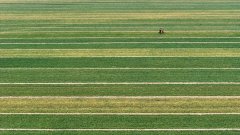 犁翻千层浪 人勤地不懒——从春耕一线看山东为