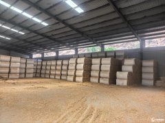 “秸”尽全力 向“绿”而行