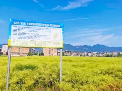 扶植新时代“巴渝粮仓”面对的问题取